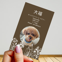 【受注後制作】フォント・背景色を選べる ペット名刺 『両面版』 50枚 ホワイトラインフラワー 6枚目の画像