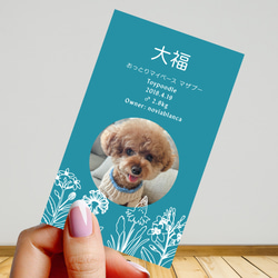 【受注後制作】フォント・背景色を選べる ペット名刺 『両面版』 50枚 ホワイトラインフラワー 10枚目の画像