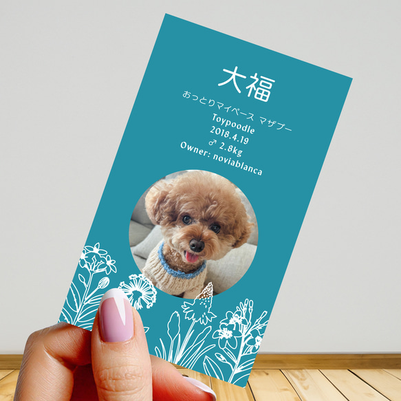 【受注後制作】フォント・背景色を選べる ペット名刺 『両面版』 50枚 ホワイトラインフラワー 10枚目の画像