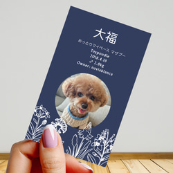 【受注後制作】フォント・背景色を選べる ペット名刺 『両面版』 50枚 ホワイトラインフラワー 9枚目の画像