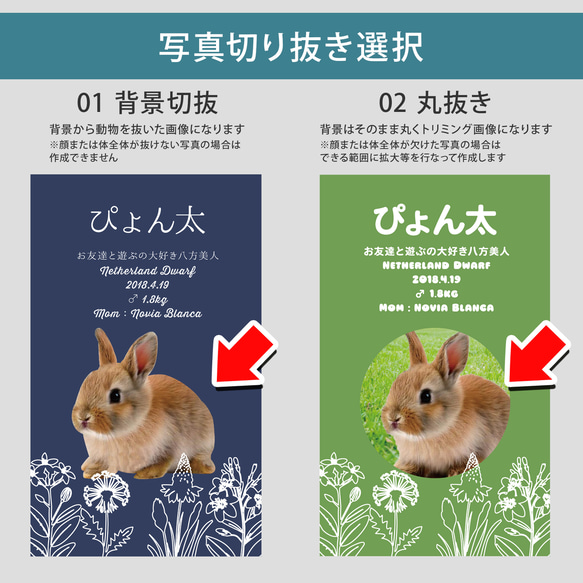 【受注後制作】フォント・背景色を選べる ペット名刺 『両面版』 50枚 ホワイトラインフラワー 15枚目の画像