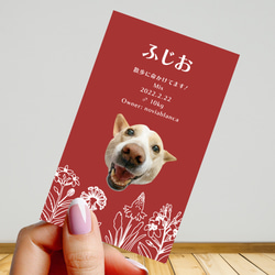 【受注後制作】フォント・背景色を選べる ペット名刺 『両面版』 50枚 ホワイトラインフラワー 2枚目の画像