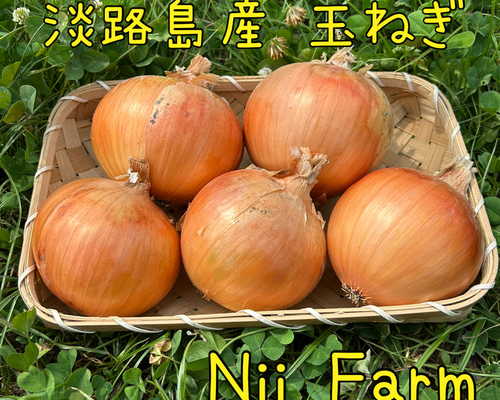 淡路島産】玉ねぎ ターザン 10キロ 農家直送 たまねぎ 野菜 Nii Farm