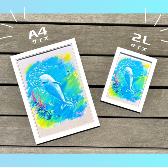 水族館の白イルカ 」複製画 2L / A4 （※額縁なし） 絵画 てん