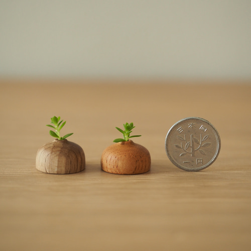 田畑一作造　朱銅　一輪挿し　樫の実　共箱　V　8319 樹齢350年を超える箱根旧街道杉並木の杉を再生利用した一輪挿し