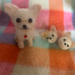 羊毛フェルト　チワワ　トイプードル 羊毛フェルト ＋毛糸 チワワ ハンドメイド 置物 トイプードル❤️羊毛