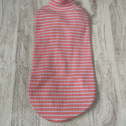 犬服！スプリングボーダー♡オレンジ×水色⭐︎XS.S.M.DXS.DS.DM 5枚目の画像