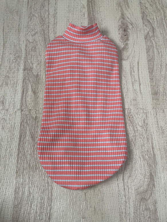 犬服！スプリングボーダー♡オレンジ×水色⭐︎XS.S.M.DXS.DS.DM 5枚目の画像