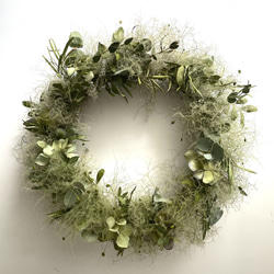 実りの秋 ツルウメモドキのドライフラワーリース リース Florist