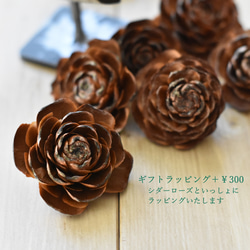 『君のための演奏会』 9枚目の画像