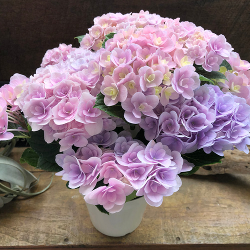 フロレンティーナ♡ピンクマーブル♡アジサイ♡紫陽花 アートフラワー