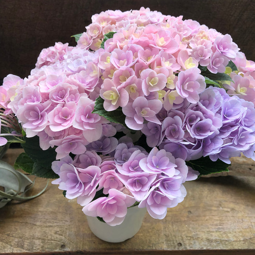 フロレンティーナ♡ピンクマーブル♡アジサイ♡紫陽花 アートフラワー