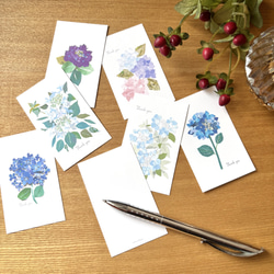 8月頃の花ポストカードセット ポストカード tomocollage 通販
