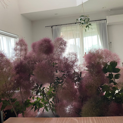  第8張的照片