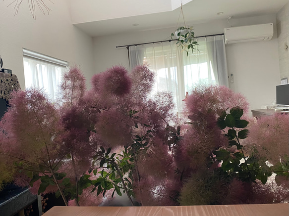  第8張的照片