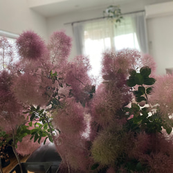  第9張的照片