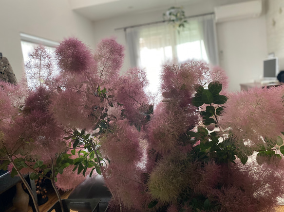  第9張的照片