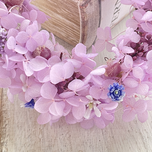 ラベンダー色のアジサイミニリース 紫 薄紫 アジサイ 紫陽花 ハイド