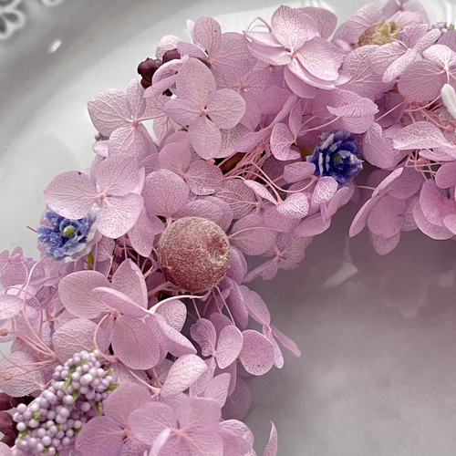 ラベンダー色のアジサイミニリース 紫 薄紫 アジサイ 紫陽花 ハイド