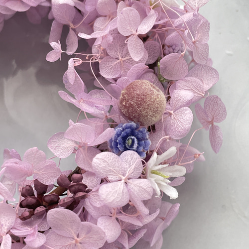 ラベンダー色のアジサイミニリース 紫 薄紫 アジサイ 紫陽花 ハイド