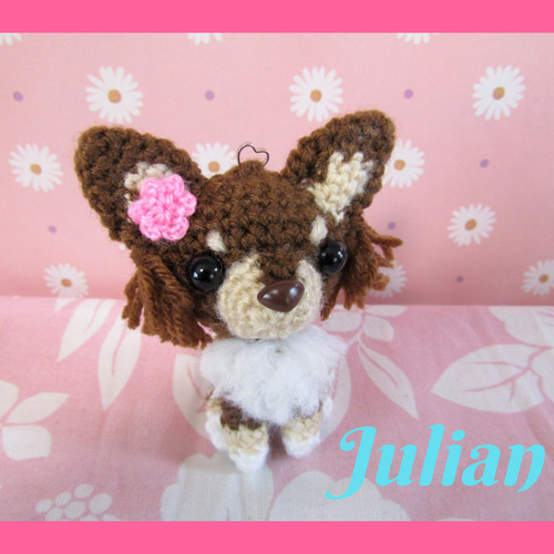 チワワ(ロングコート チョコタン) お座りポーズ ⑦ 新作