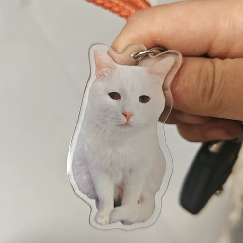 オーダーメイド ペット写真ストラップ・キーホルダ 愛犬・愛猫