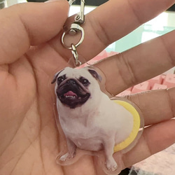 オーダーメイド ペット写真ストラップ・キーホルダ 愛犬・愛猫・動物