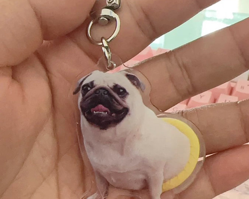 893534b6f4bb9204bfc72f85c2d731