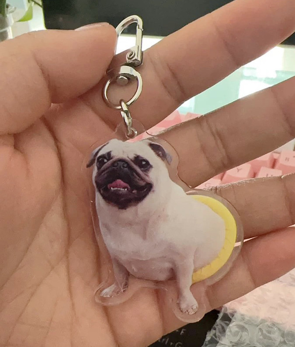 オーダーメイド ペット写真ストラップ・キーホルダ 愛犬・愛猫・動物