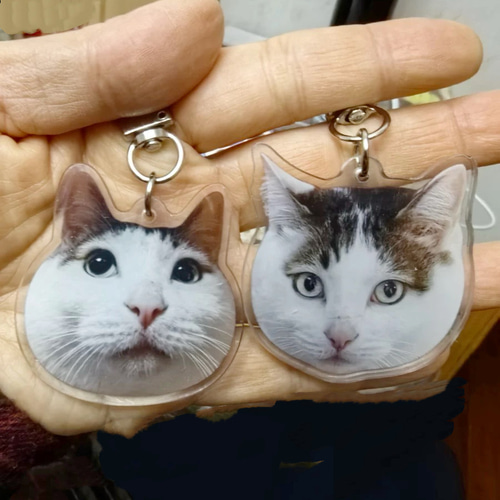 オーダーメイド ペット写真ストラップ・キーホルダ 愛犬・愛猫・動物