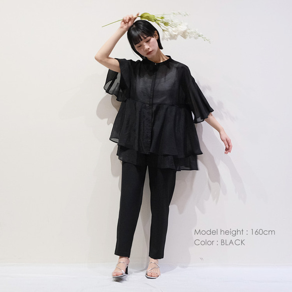 ⭐20％OFF⭐シアーローン ティアードブラウス D252059 denicher デニシェ 2枚目の画像