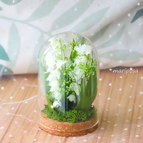 すずらん【数量限定】可愛いコルク瓶の中のフラワーベールに優しく包ん