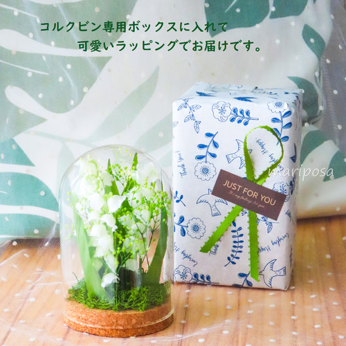 すずらん【数量限定】可愛いコルク瓶の中のフラワーベールに優しく包ん