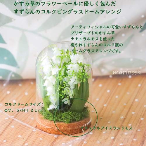 すずらん【数量限定】可愛いコルク瓶の中のフラワーベールに優しく包ん