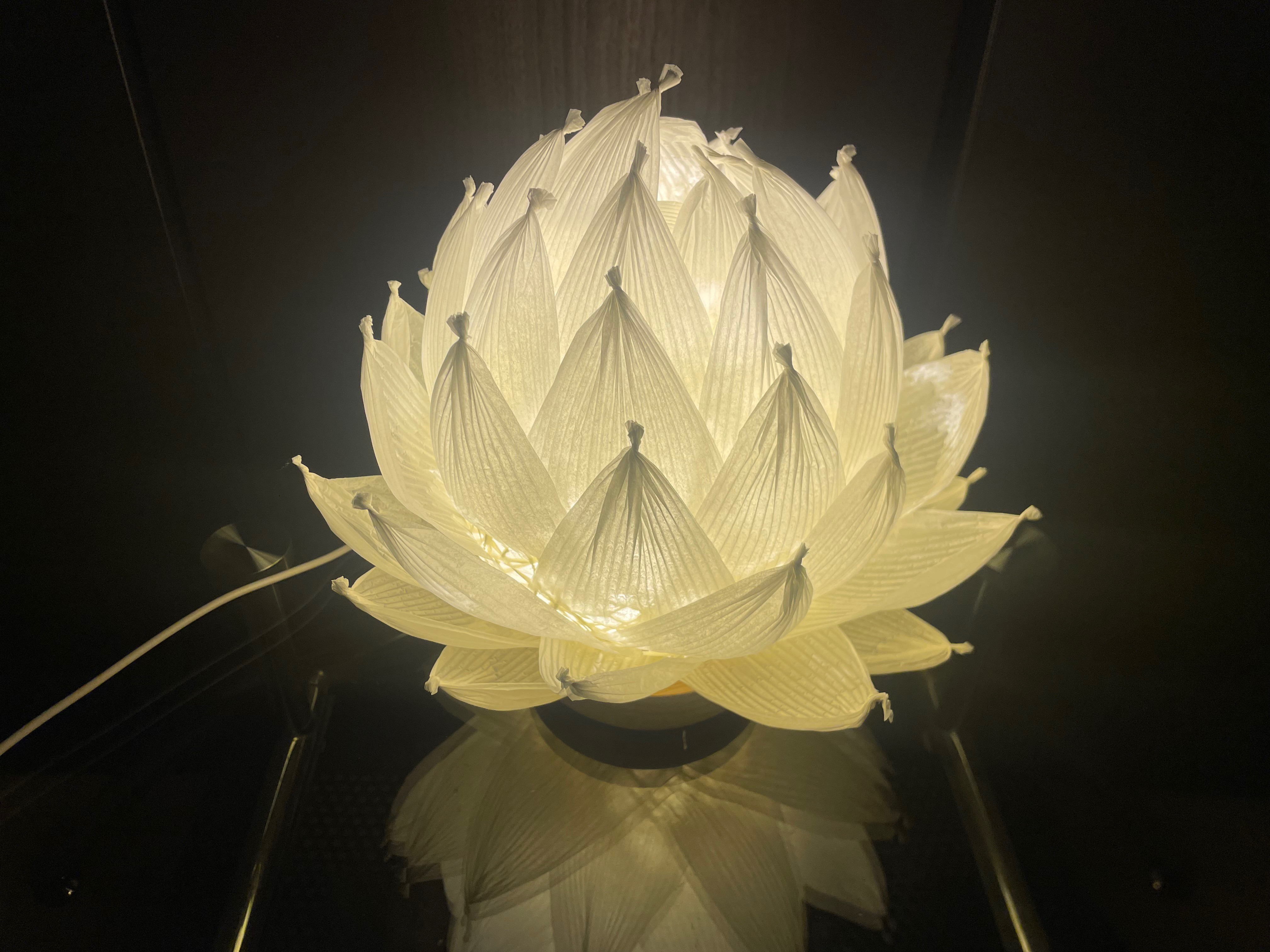 【USB電源】2025 蓮ランプ オールホワイト