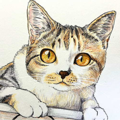 原画イラスト 一点物 三毛猫 まんが風イラスト フレーム付 L判サイズ