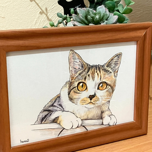 猫の色鉛筆画 フレーム付きA4 猫の色鉛筆画 フレーム付きA4