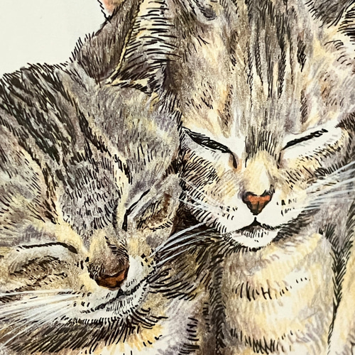 「猫」絵画原画　一点物 手描き 猫の絵 ねこ 二匹 イラスト 絵 一点もの 原画｜Yahoo