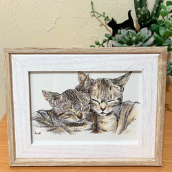 原画イラスト 一点物 キジトラ猫 まんが風イラスト フレーム付