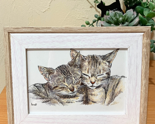 c572c1aafceb05149cd8bb00684289