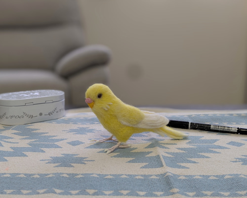 受注後製作・羊毛フェルト】セキセイインコ ルチノー※オーダーメイド可
