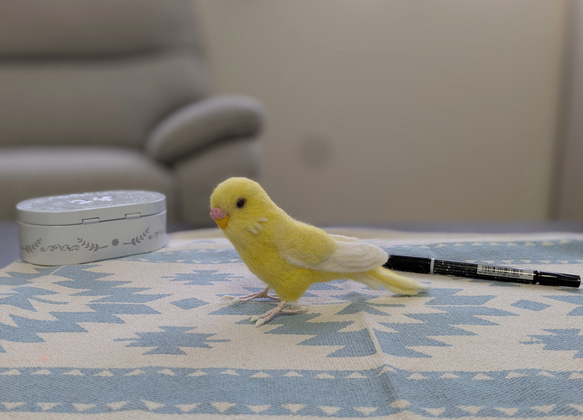 受注後製作・羊毛フェルト】セキセイインコ ルチノー※オーダーメイド可
