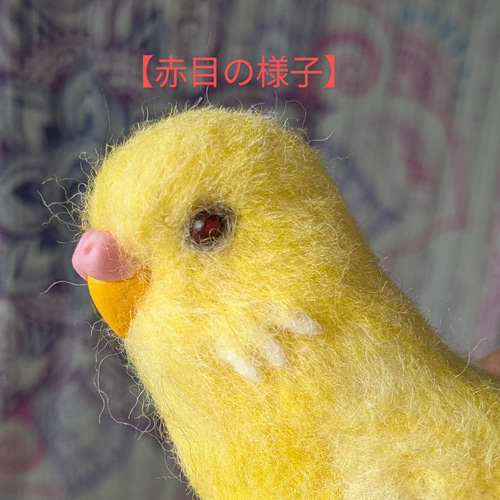 受注後製作・羊毛フェルト】セキセイインコ ルチノー※オーダーメイド可