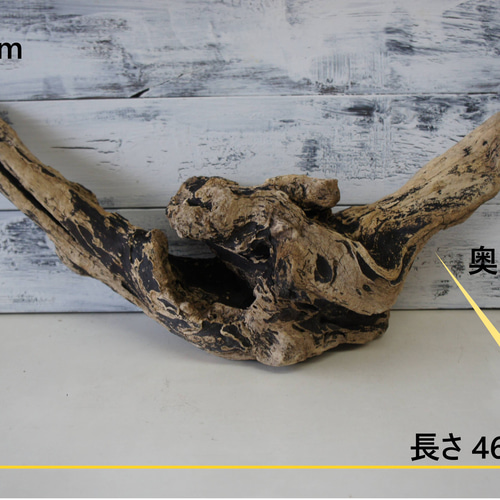 Ｋ719 流木　灰汁抜き処理済み　アクアテラリウム　爬虫類シェルター　インテリア wooddrops_tera263