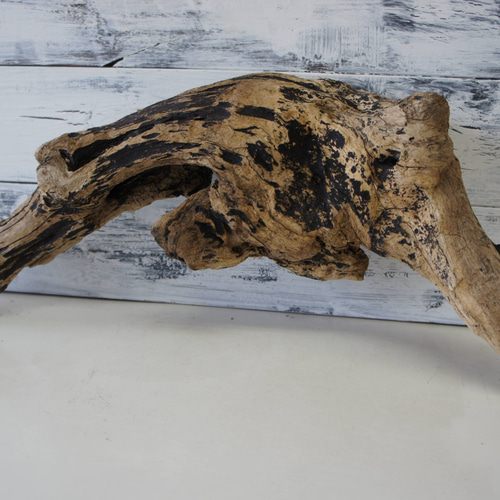 流木 あく抜き処理 煮沸消毒済 テラリウム 爬虫類 登り木 レイアウト