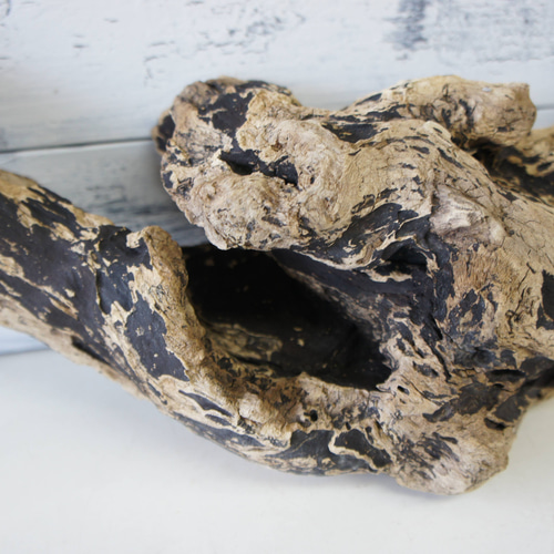 流木 あく抜き処理 煮沸消毒済 テラリウム 爬虫類 登り木 レイアウト