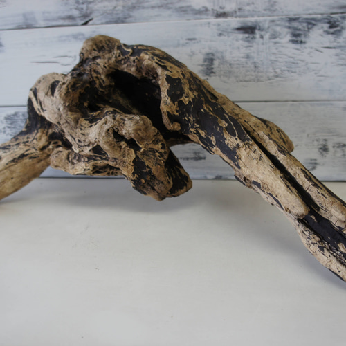 流木 あく抜き処理 煮沸消毒済 テラリウム 爬虫類 登り木 レイアウト