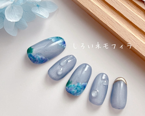 20581b923f807a5745e54b910a5525