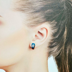 ハシビロコウのピアス/イヤリング 3枚目の画像