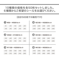 価格帯別　プライスシールセット（透明または白）500枚 5×10㎜ 【50円〜10000円】 500枚 値段 価格 7枚目の画像